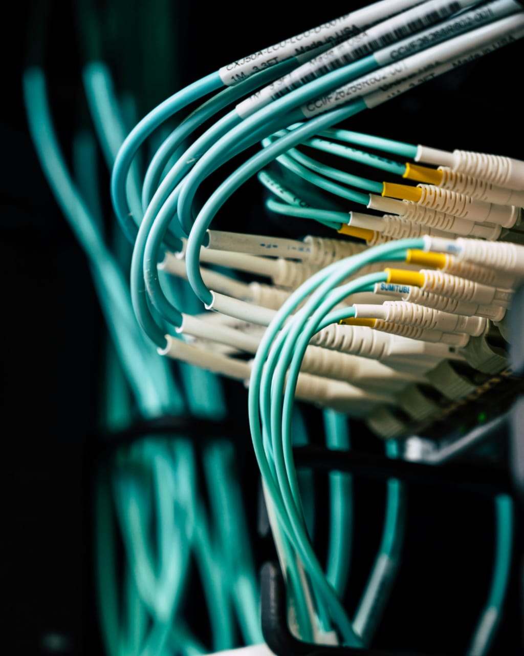 WhatsApp Image 2025-02-07 at 11.29.21